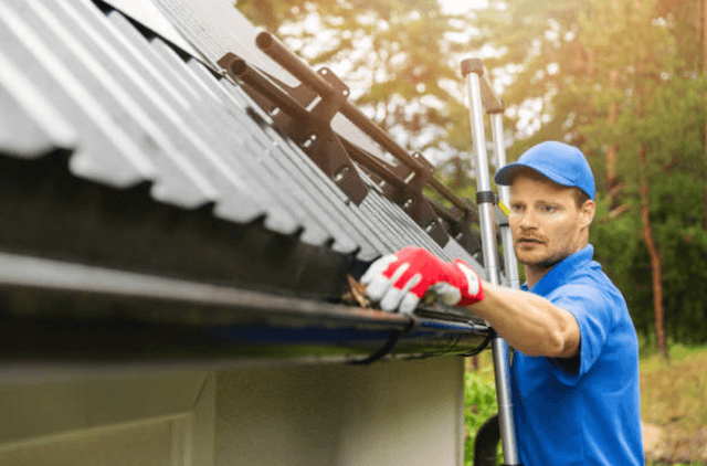 dothan gutter service